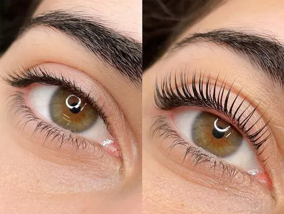 brow lamination